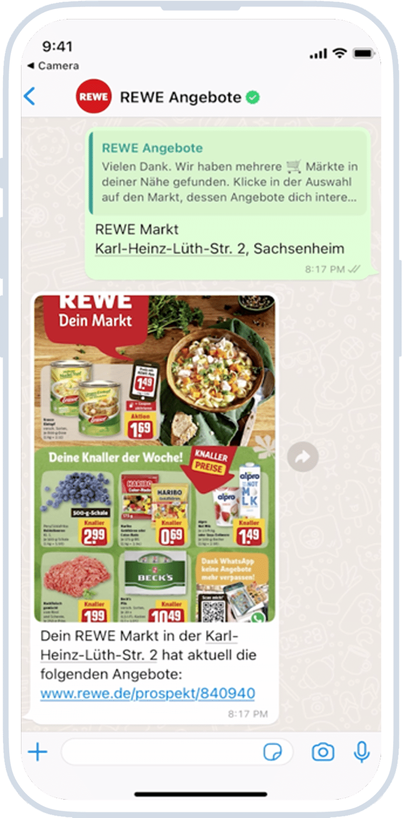 WhatsApp Newsletter Software & Marketing Automation Solution WhatsApp Marketing Automation